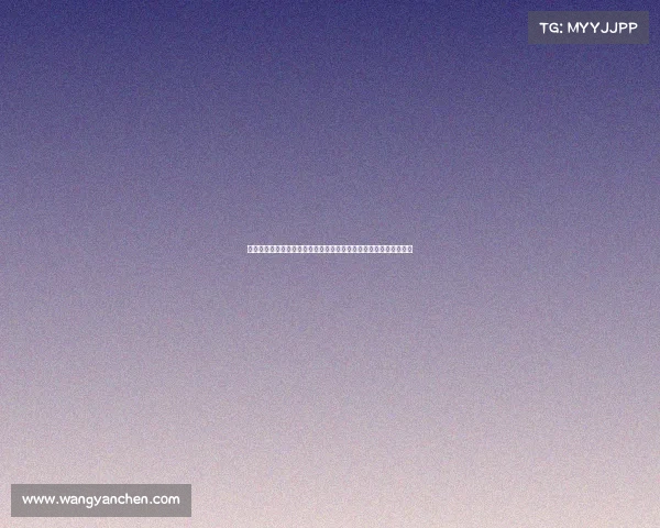 本季焦点赛事密集爆发看点丰富多元赛事数量超乎想象精彩不容错过